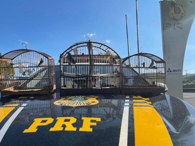 WhatsApp Image 2021-05-17 at 19.58.19.jpeg