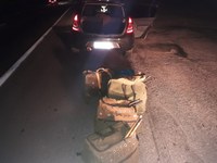 PRF apreende 98 pássaros silvestres na Fernão Dias