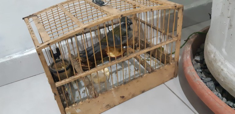 WhatsApp Image 2021-07-11 at 08.47.47 (1).jpeg