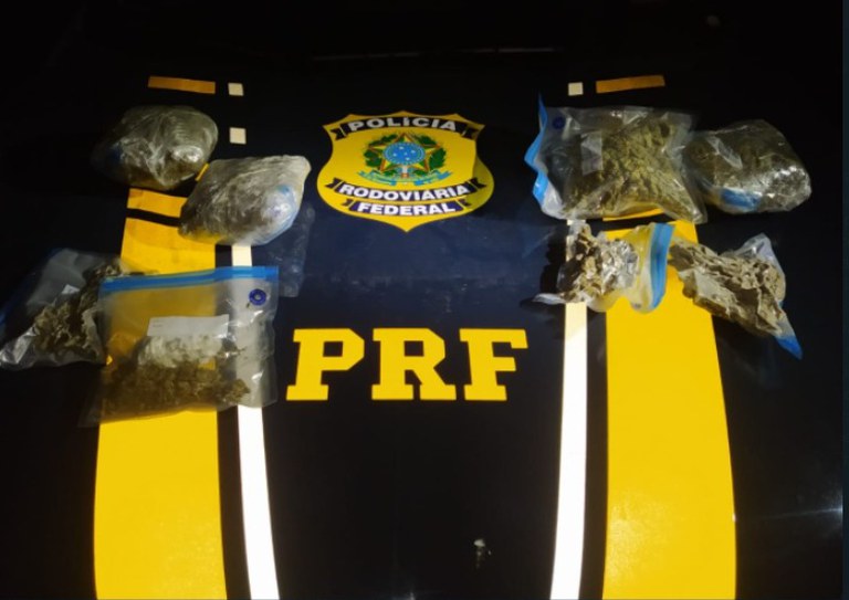 Skunk Barra do Turvo.jpeg