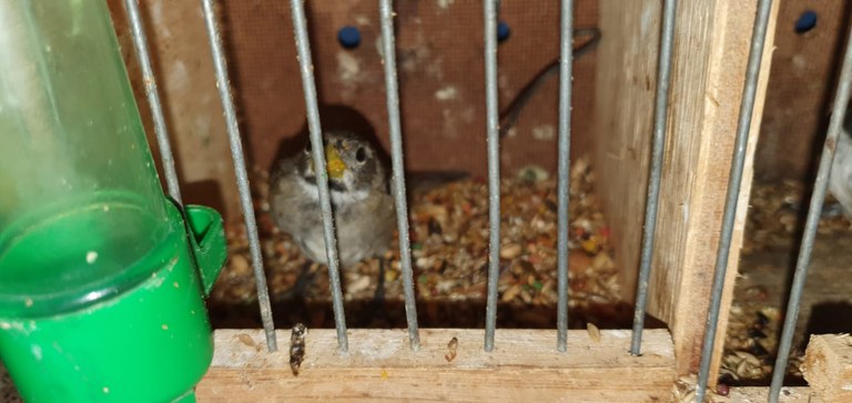 WhatsApp Image 2021-05-31 at 08.49.16.jpeg