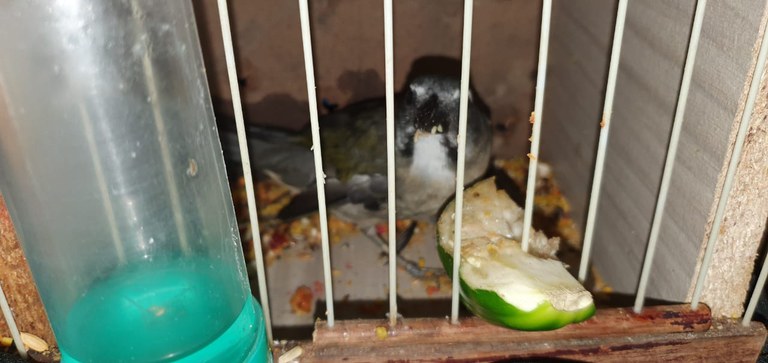 WhatsApp Image 2021-05-31 at 08.49.17.jpeg