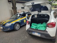 PRF apreende carga de agrotóxicos proibidos na BR 153