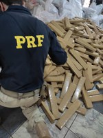 PRF apreende carregamento de maconha na BR 153, em São José do Rio Preto