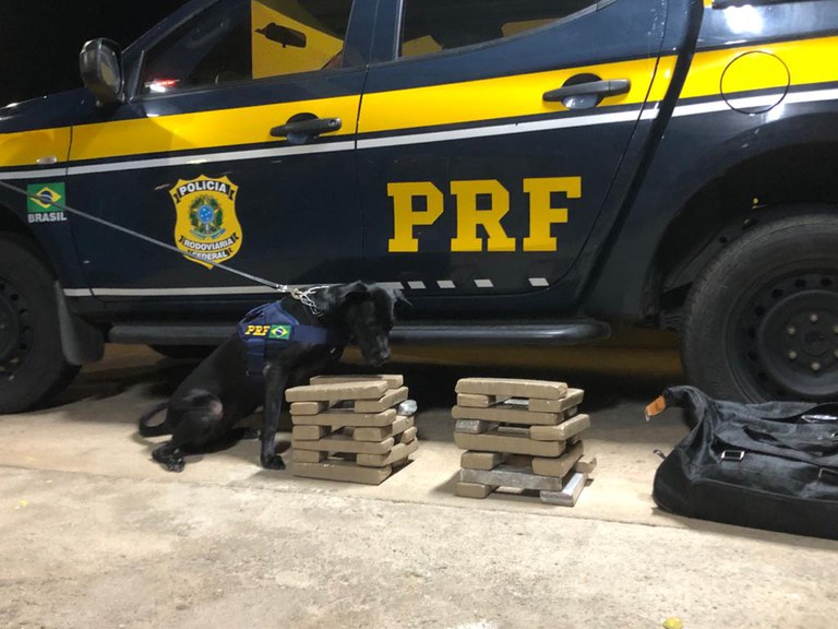 PRF apreende cerca de 15kg de maconha com auxílio de cães farejadores, na Rodovia Fernão Dias