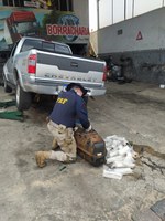 PRF apreende Cocaína na Régis Bittencourt