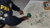 PRF apreende esmeraldas avaliadas em R$ 2 milhões