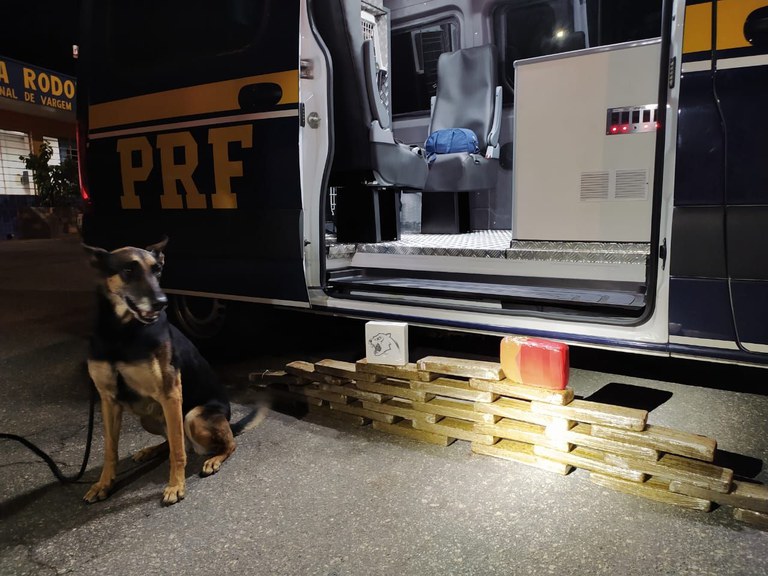 PRF apreende maconha e cocaína em ônibus na Fernão Dias