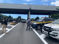 PRF apreende maconha em Santos