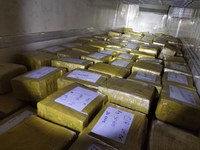 PRF apreende mais de 10 toneladas de maconha em São José dos Campos