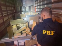 PRF apreende quase 1 tonelada de maconha na Régis Bittencourt