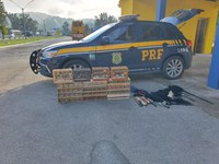 PRF faz apreensão de pássaros na rodovia Fernão Dias