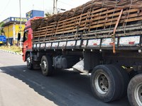 PRF flagra transporte irregular de cabras na Fernão Dias