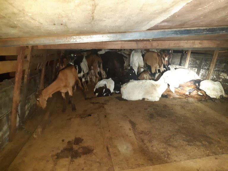 WhatsApp Image 2021-09-13 at 00.50.37.jpeg