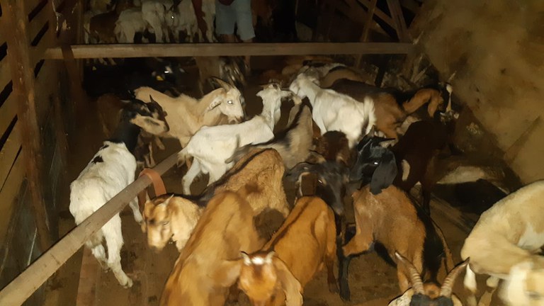 WhatsApp Image 2021-09-13 at 00.50.44.jpeg