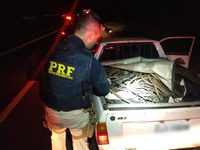 PRF prende dois homens por furto de veículo e cabos de cobre em Nova Granada-SP