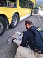 PRF prende homem com com drogas em ônibus que seguia para São Paulo pela Régis Bitencourt