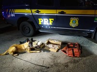 PRF prende homem por tráfico de drogas em Arujá/SP