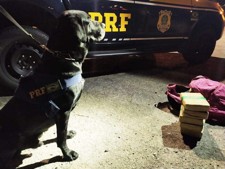 WhatsApp Image 2021-06-08 at 19.55.05.jpeg