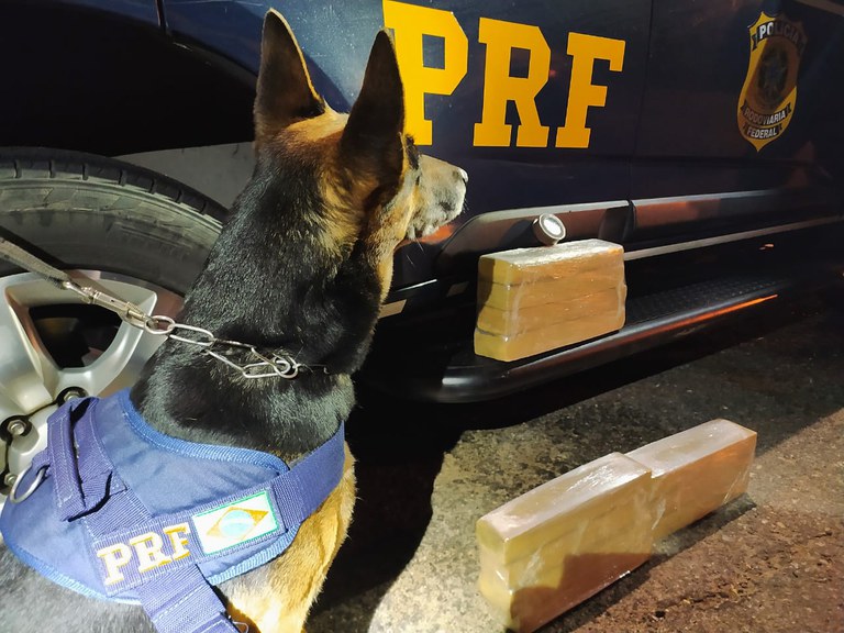 WhatsApp Image 2021-06-17 at 23.55.12.jpeg