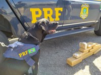 PRF prende passageiras de ônibus por tráfico de drogas