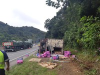 PRF prende saqueador de carga na Régis Bittencourt