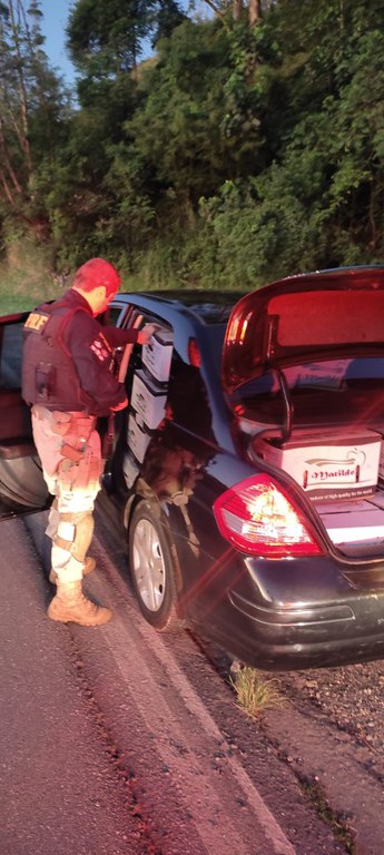 WhatsApp Image 2022-03-28 at 17.45.21.jpeg