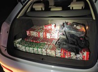 PRF realiza apreensão de aves silvestres na rodovia Régis Bittencourt