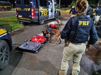 PRF realiza madrugada de fiscalização a ônibus em Ourinhos