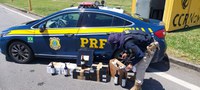 PRF realiza nova apreensão de vinhos argentinos no Vale do Paraíba