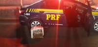 PRF resgata ave transportada ilegalmente na rodovia Fernão Dias
