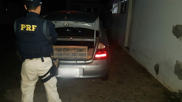 WhatsApp Image 2022-04-13 at 11.43.58.jpeg