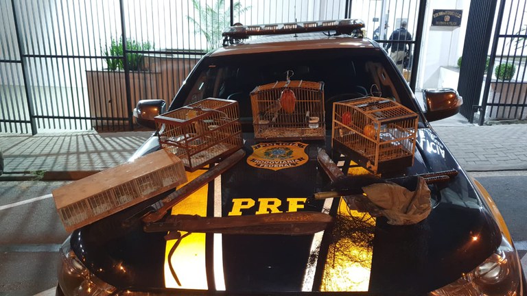 Apreensão de Pássaros na rodovia Fernão Dias