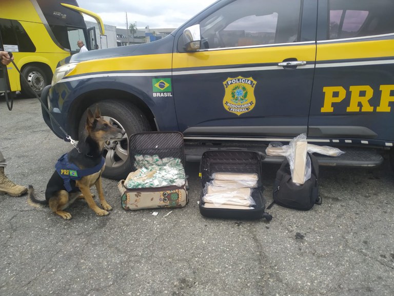 homem e mulher traficantes são presos simultaneamente em ônibus pela PRF