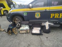 Unidos pelo crime: homem e mulher traficantes são presos simultaneamente em ônibus pela PRF