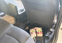 Em menos de 24h, PRF em Ourinhos/SP resgata macaco-prego e pássaros silvestres transportados irregularmente e em condições de maus-tratos