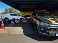 Mais um carro clonado é apreendido pela PRF na BR-153