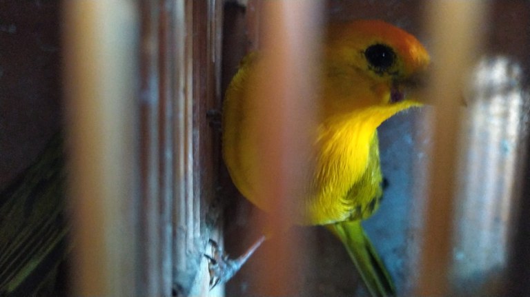 WhatsApp Image 2023-05-02 at 12.54.18.jpeg