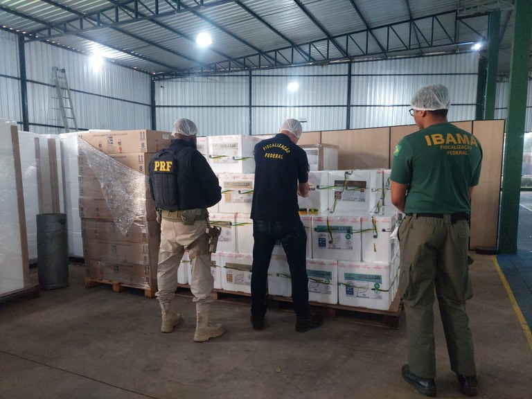 WhatsApp Image 2023-08-22 at 14.09.43.jpeg