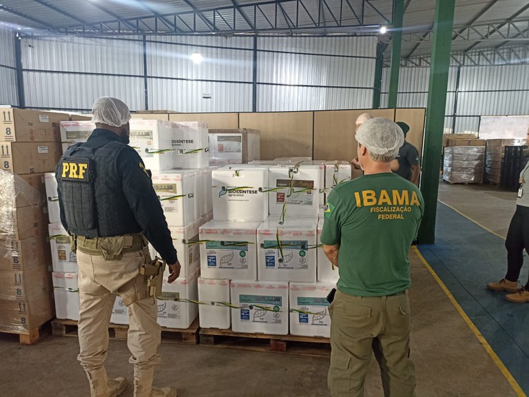 WhatsApp Image 2023-08-22 at 14.09.51.jpeg