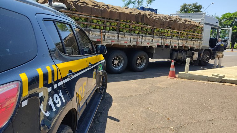 WhatsApp Image 2024-02-02 at 17.51.48.jpeg