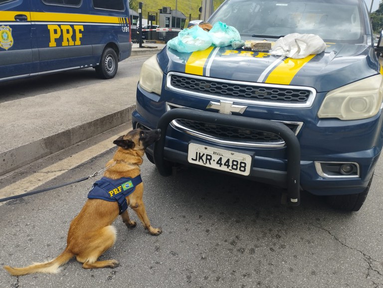 WhatsApp Image 2024-01-09 at 13.36.59.jpeg