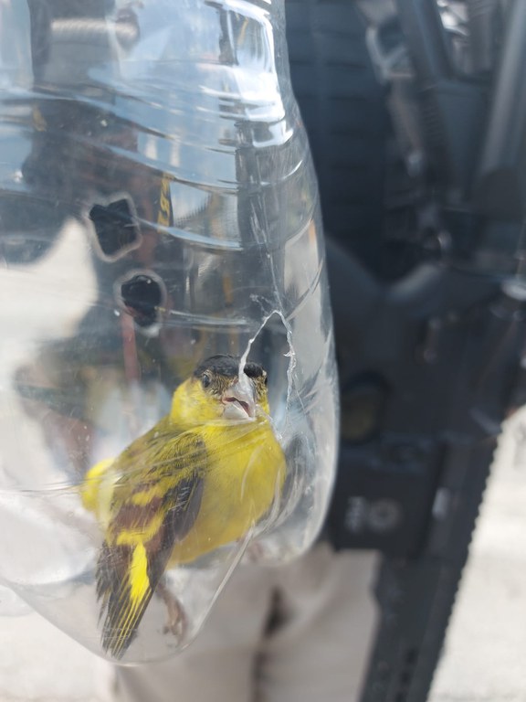 WhatsApp Image 2023-04-06 at 11.21.20.jpeg