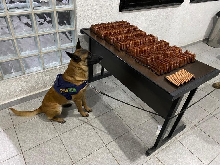 WhatsApp Image 2023-01-26 at 01.46.47.jpeg