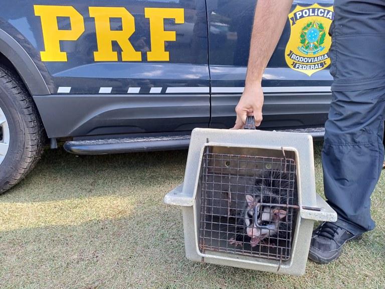 WhatsApp Image 2024-05-28 at 16.49.57 (1).jpeg