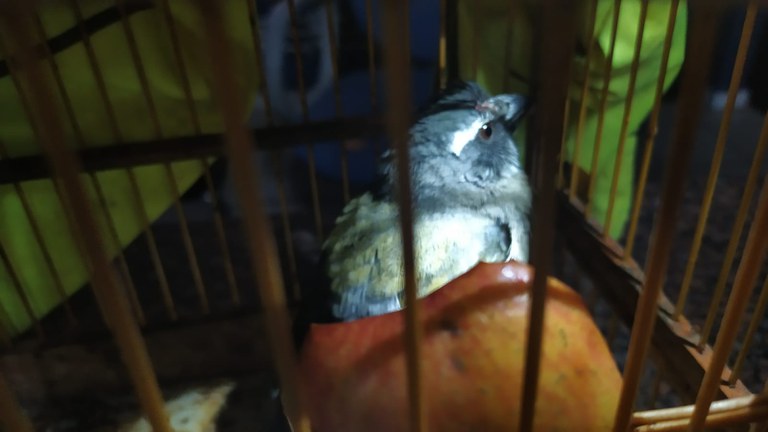 WhatsApp Image 2023-01-16 at 07.25.12.jpeg