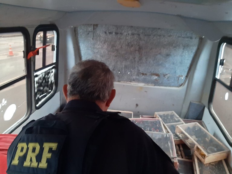 WhatsApp Image 2023-08-28 at 13.17.32.jpeg