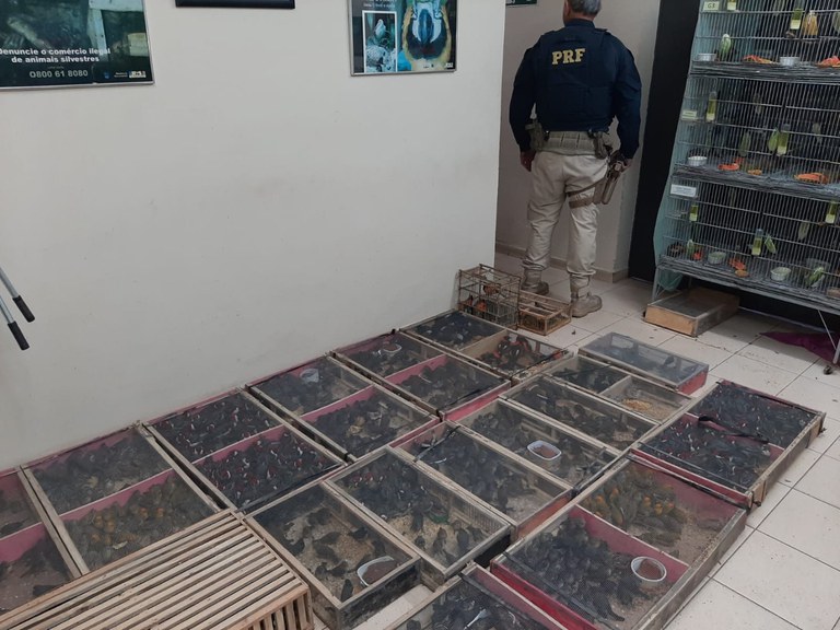 WhatsApp Image 2023-08-28 at 13.17.34 (1).jpeg