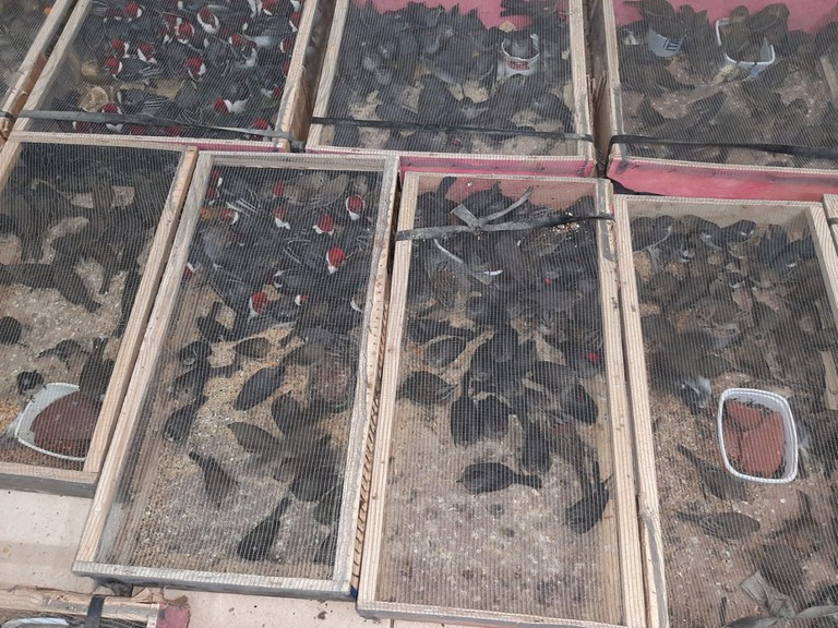 WhatsApp Image 2023-08-28 at 13.17.35 (1).jpeg