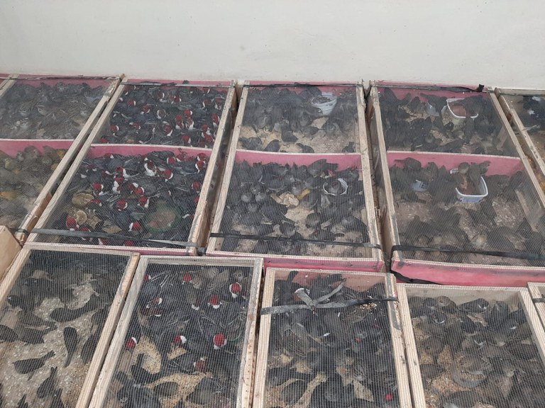 WhatsApp Image 2023-08-28 at 13.17.35 (2).jpeg